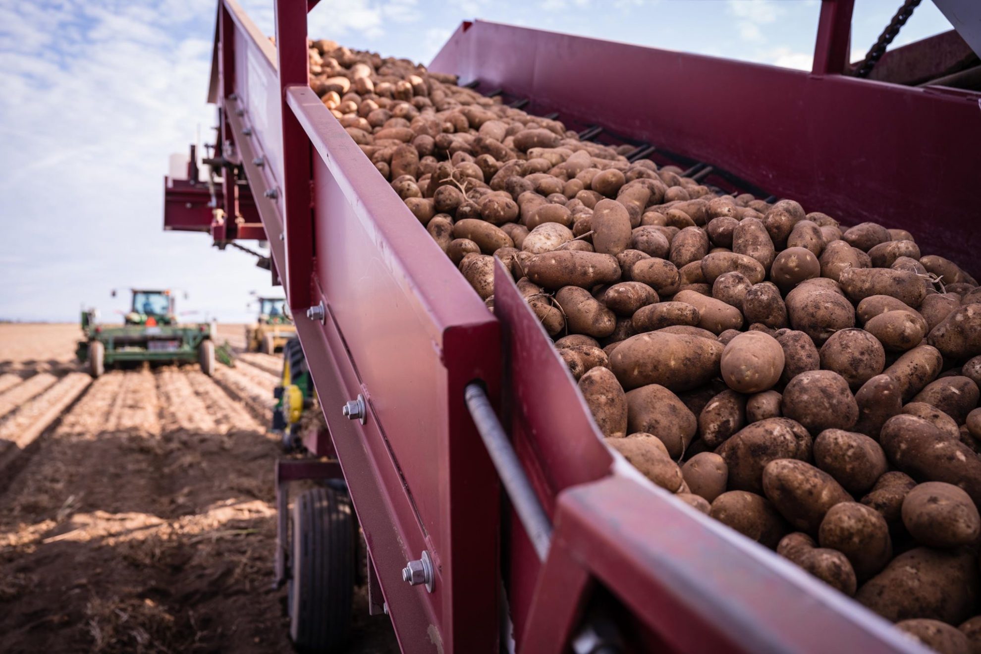 National Potato Council Statement on USDA Economic Relief Plan for ...